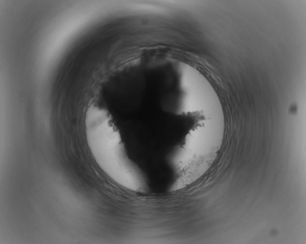 X0000116780763201001281654