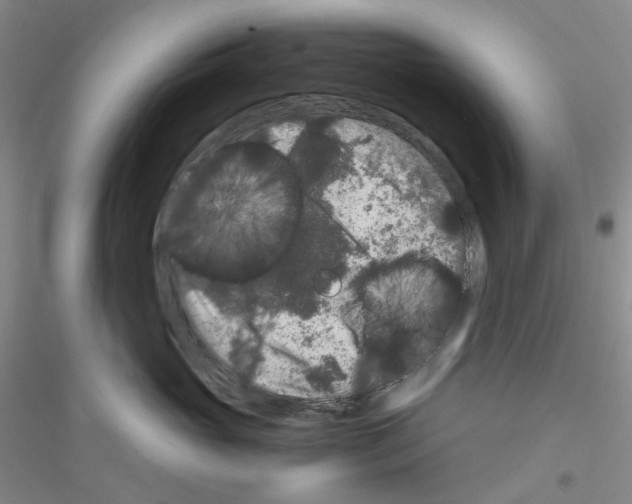 X0000116780765201001281654