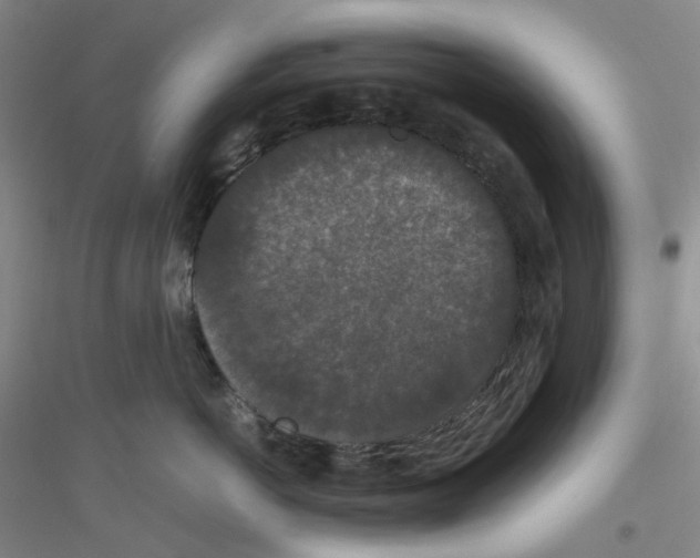 X0000116780766201001281654