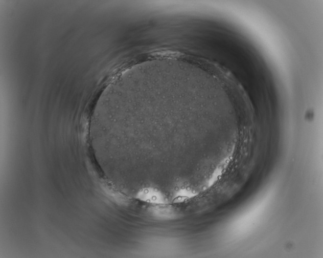 X0000116780767201001281654