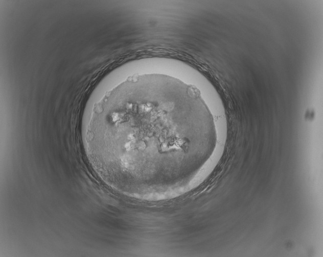 X0000116780769201001281653