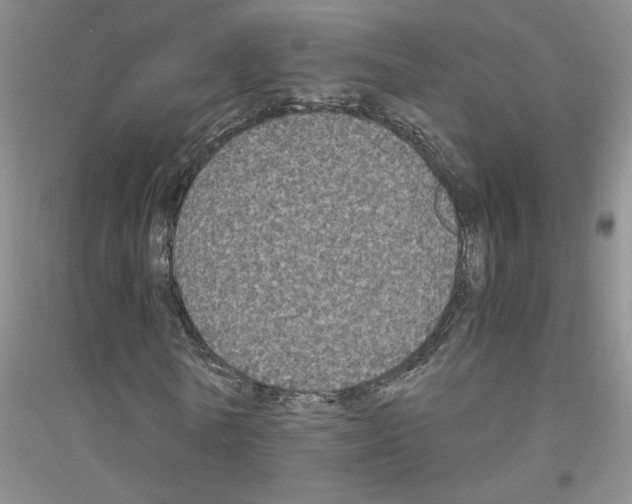 X0000116780770201001281653