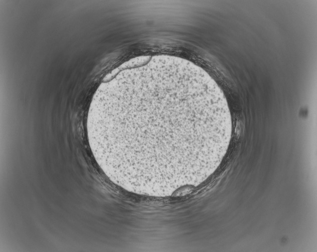 X0000116780771201001281653