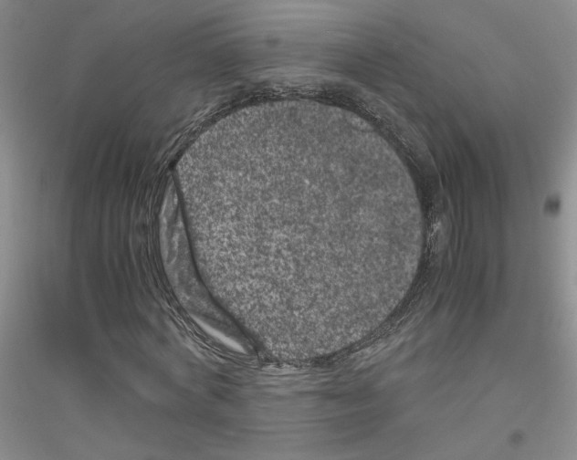 X0000116780772201001281653