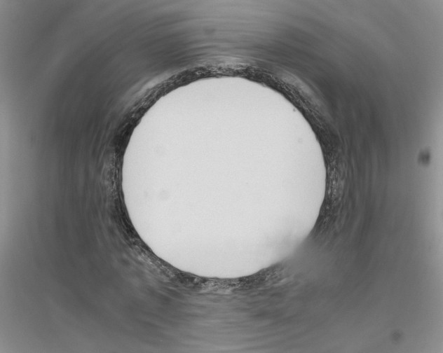 X0000116780773201001281653