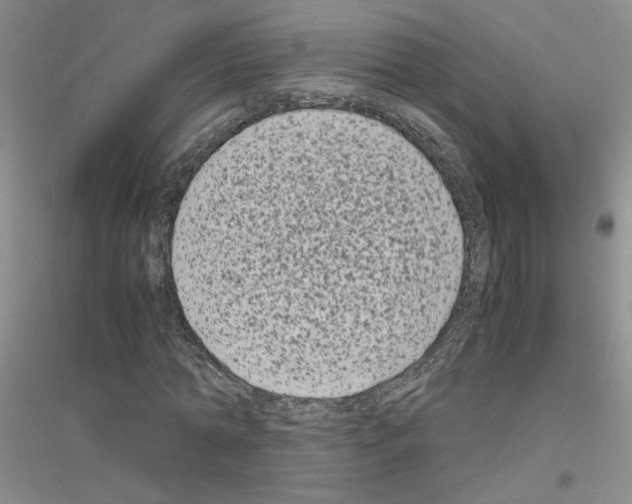 X0000116780774201001281653