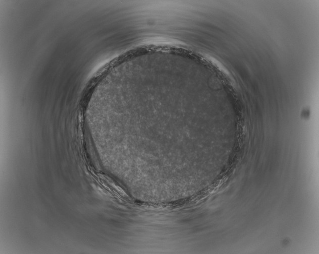 X0000116780775201001281653