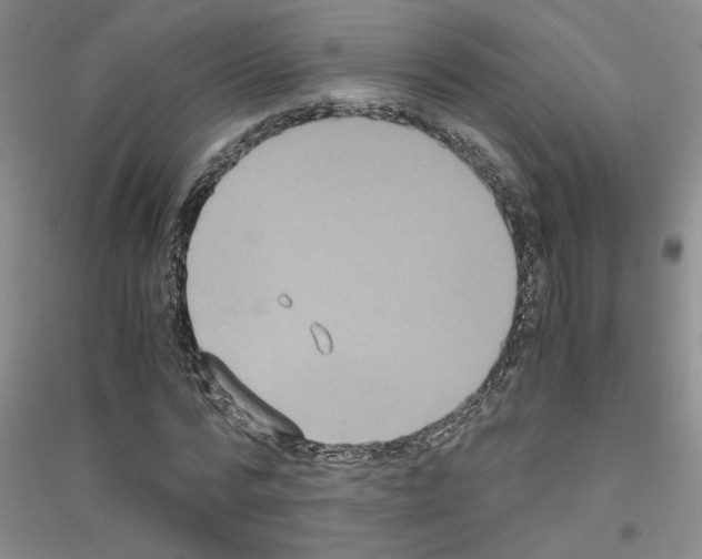 X0000116780776201001281653