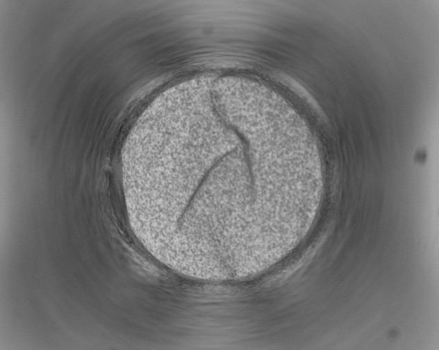 X0000116780777201001281653