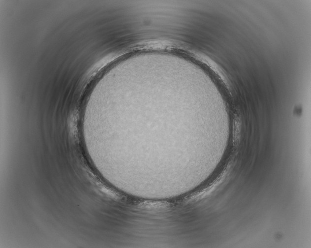 X0000116780778201001281653