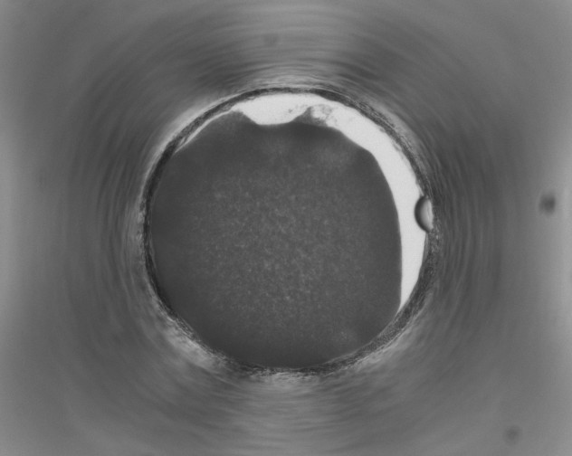 X0000116780779201001281653