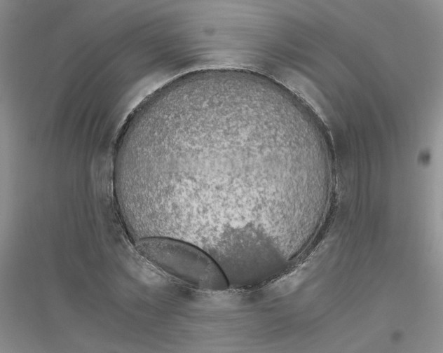 X0000116780781201001281653