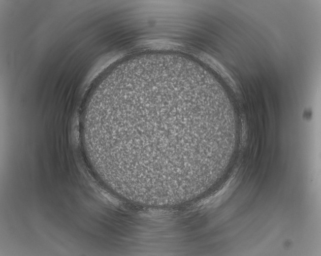 X0000116780782201001281653