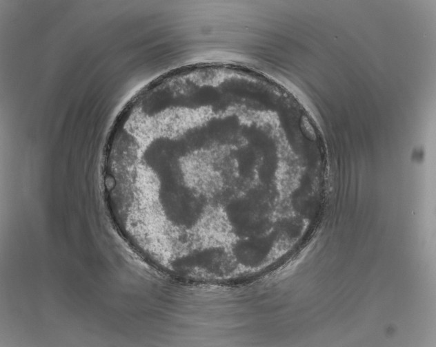 X0000116780783201001281653