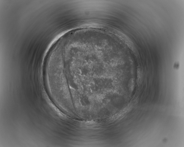 X0000116780784201001281653