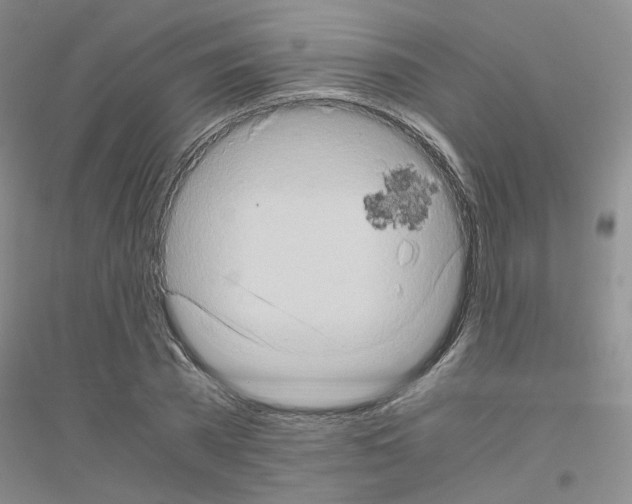 X0000116780785201001281653