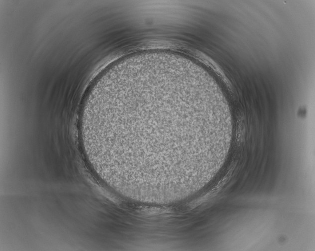 X0000116780786201001281653