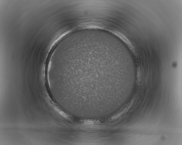 X0000116780790201001281653