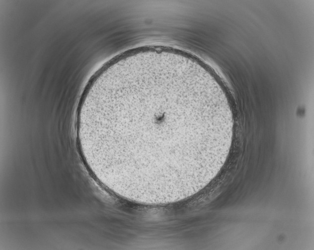 X0000116780791201001281653