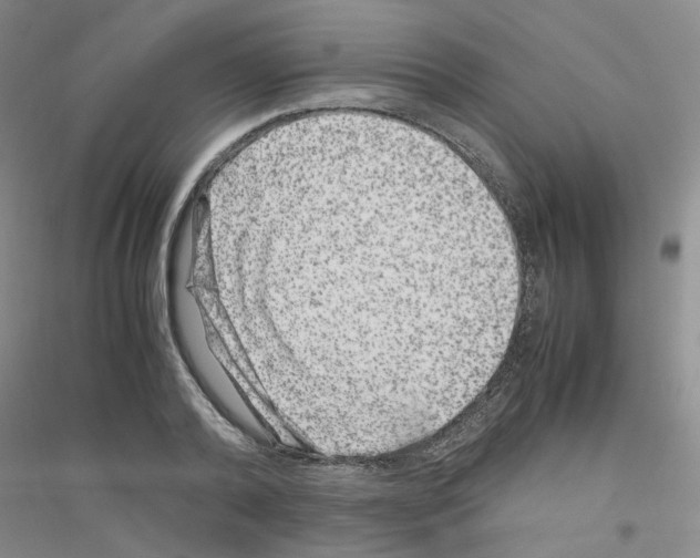 X0000116780792201001281653