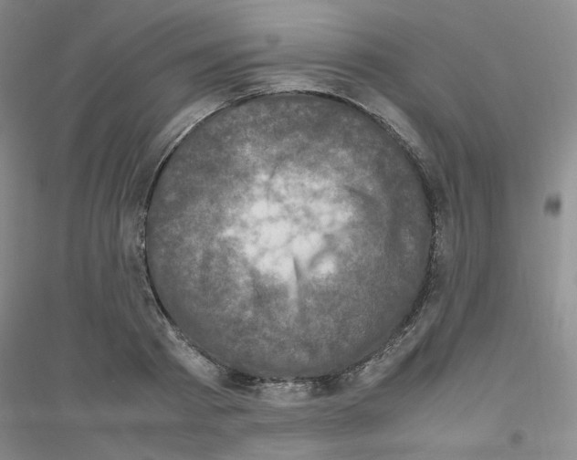 X0000116780793201001281653