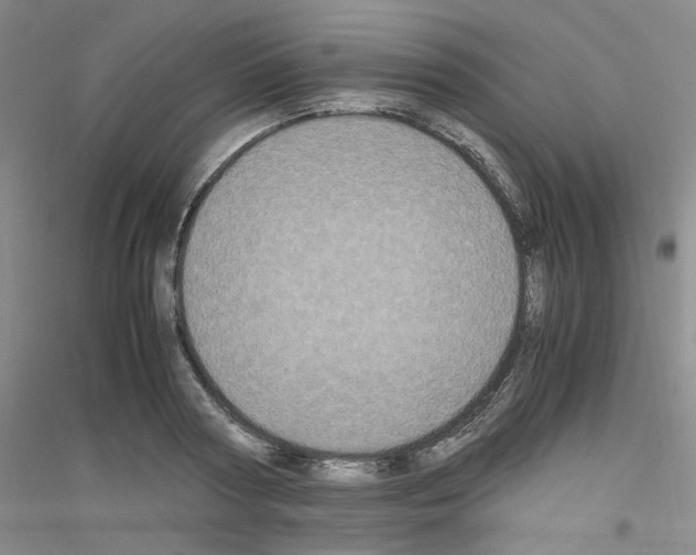 X0000116780794201001281653