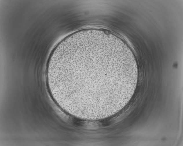 X0000116780795201001281653