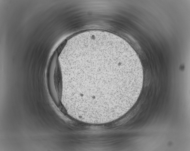 X0000116780796201001281653