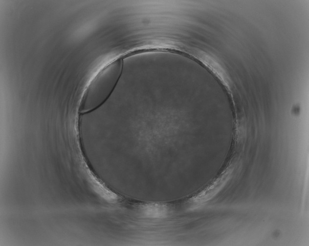 X0000116780797201001281653