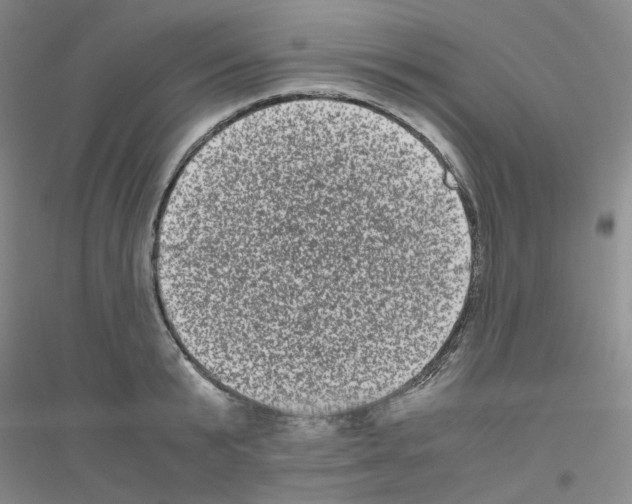 X0000116780799201001281653