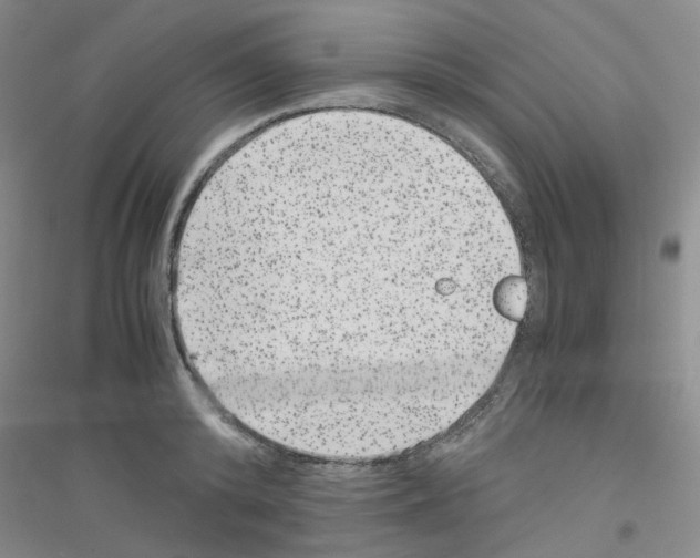 X0000116780800201001281653