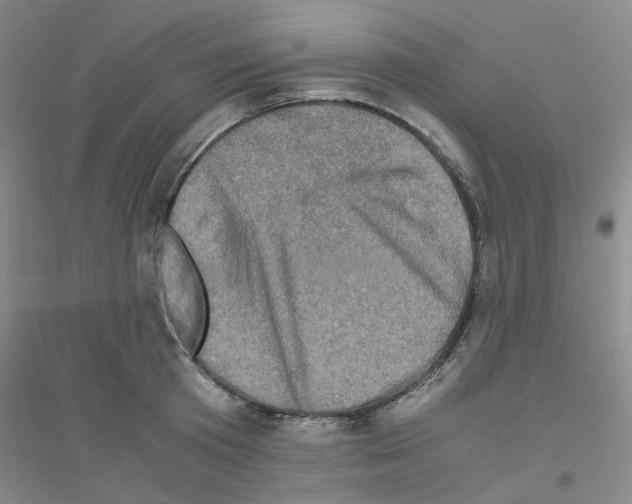 X0000116780801201001281653