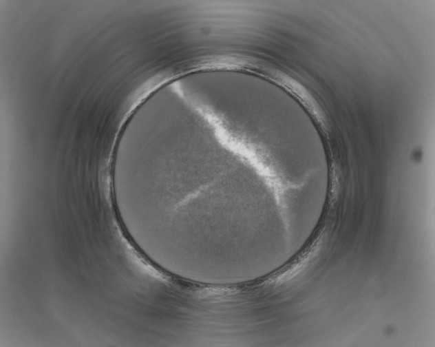 X0000116780802201001281653