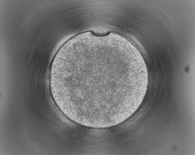 X0000116780804201001281653