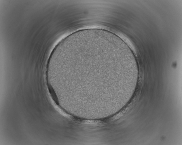 X0000116780805201001281653