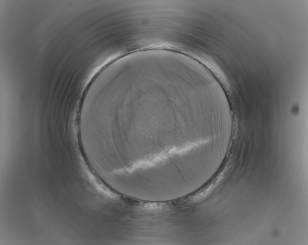 X0000116780806201001281653