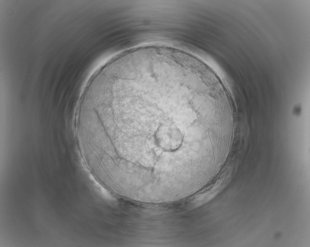 X0000116780807201001281653