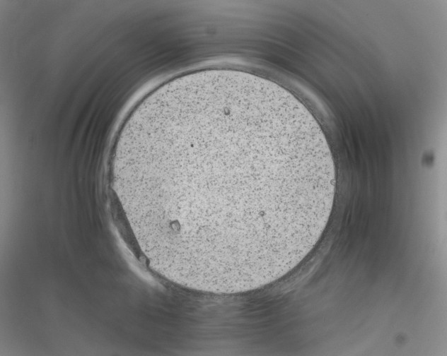 X0000116780808201001281653