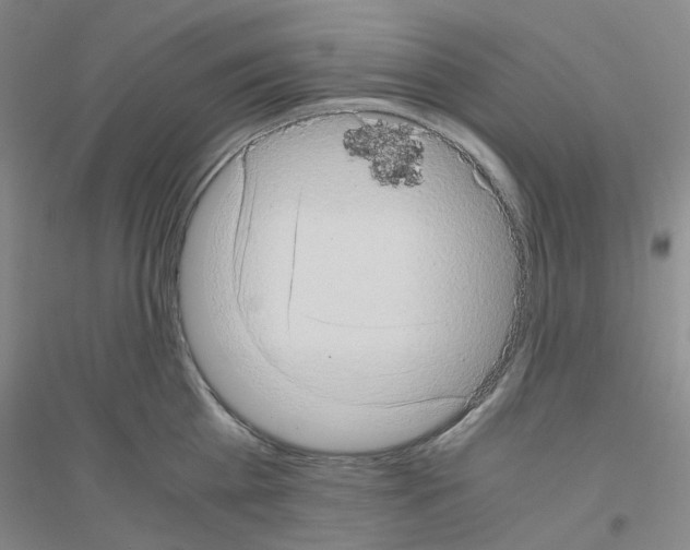 X0000116780809201001281653