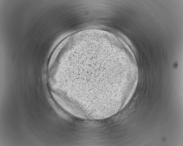 X0000116780811201001281653