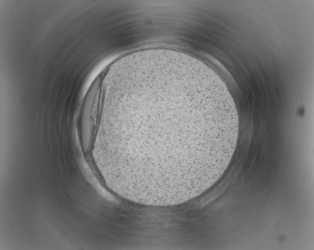 X0000116780812201001281653