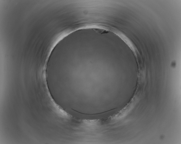 X0000116780813201001281653