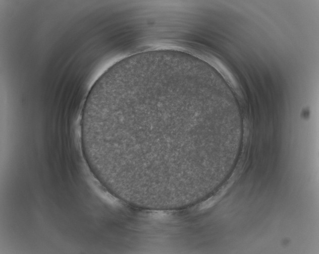 X0000116780814201001281653