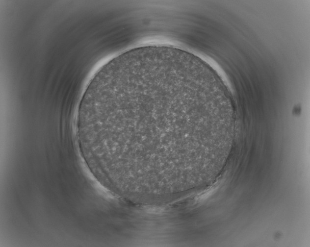 X0000116780815201001281653