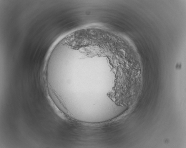 X0000116780816201001281653