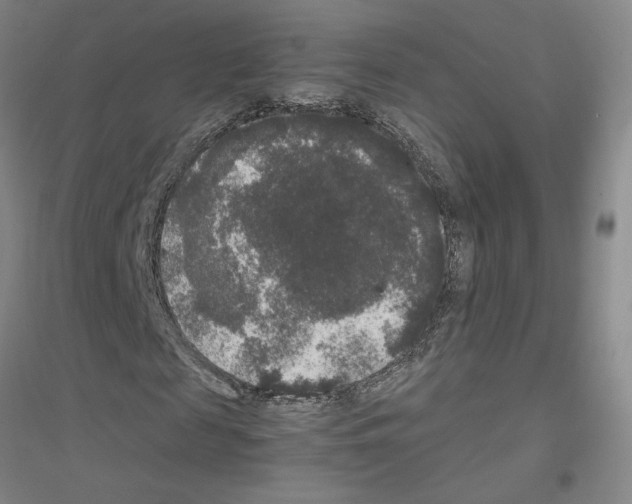 X0000116780817201001281652