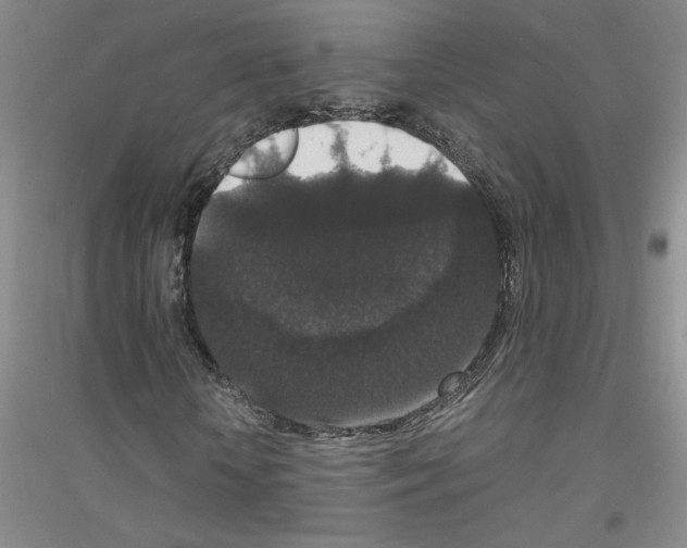 X0000116780818201001281652