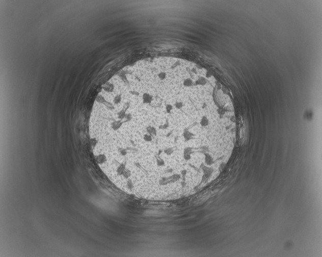 X0000116780819201001281652