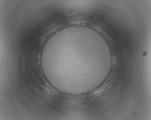 X0000116780820201001281652