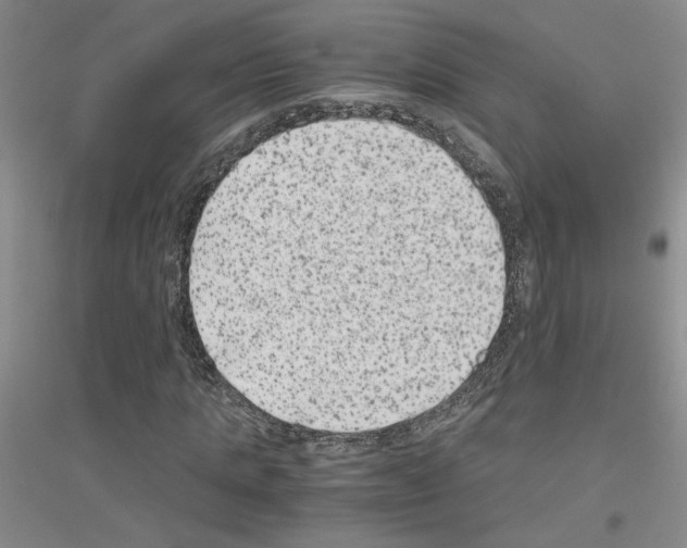 X0000116780821201001281652